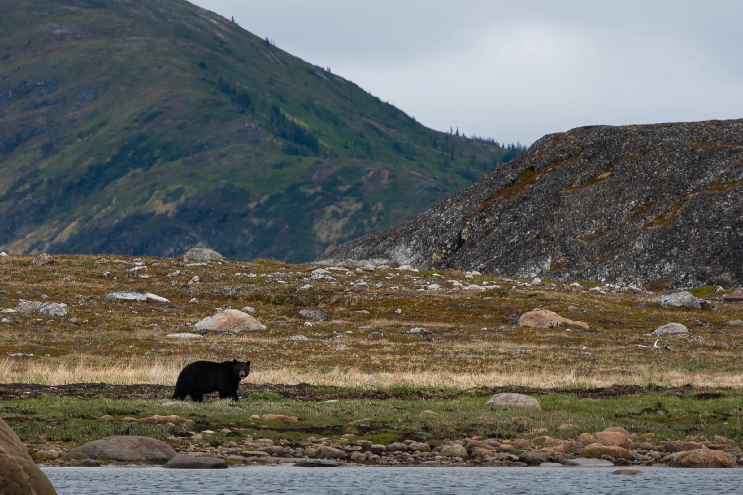 Tikkoatokak_Bay[1].webp